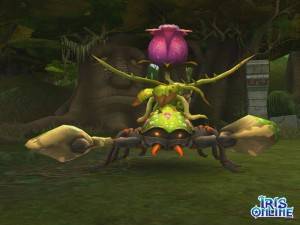 Iris_Scorpion_Symbiosis