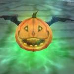 Pet Pumpkin